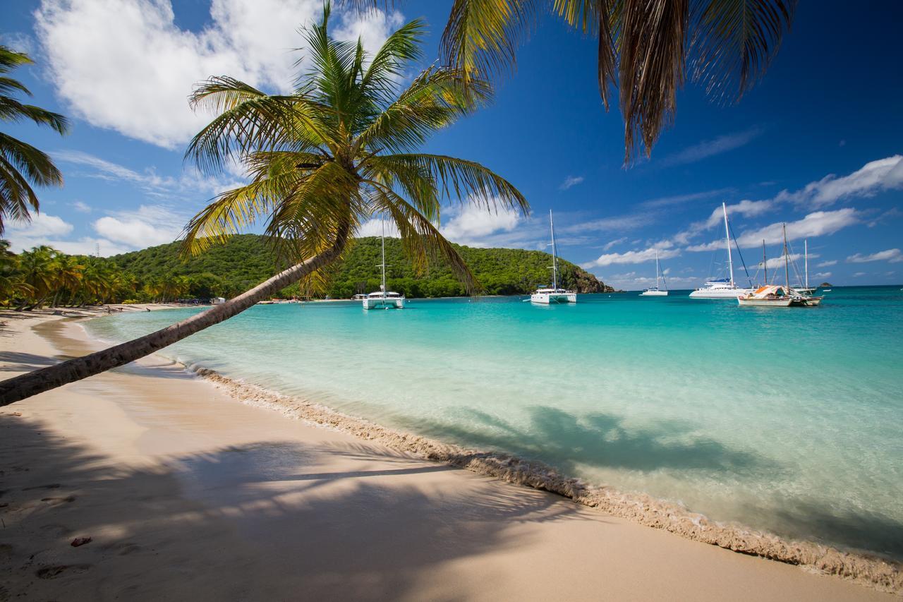 Salt Whistle Bay Retreat Hotel Mayreau Island Exterior foto